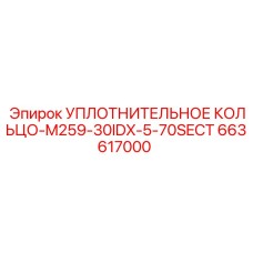 663617000 УПЛОТНИТЕЛЬНОЕ КОЛЬЦО-M259-30IDX-5-70SECT (Epiroc)
