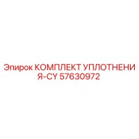 57630972 КОМПЛЕКТ УПЛОТНЕНИЯ-CY Epiroc