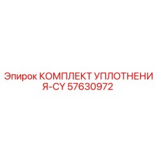 57630972 КОМПЛЕКТ УПЛОТНЕНИЯ-CY Epiroc