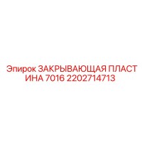 2202714713 ЗАКРЫВАЮЩАЯ ПЛАСТИНА 7016 Epiroc