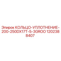 1202388407 КОЛЬЦО-УПЛОТНЕНИЕ-200-250DX17T-5-3GROO Epiroc