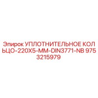 9753215979 УПЛОТНИТЕЛЬНОЕ КОЛЬЦО-220X5-MM-DIN3771-NB Epiroc