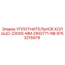 9753215979 УПЛОТНИТЕЛЬНОЕ КОЛЬЦО-220X5-MM-DIN3771-NB Epiroc