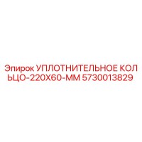5730013829 УПЛОТНИТЕЛЬНОЕ КОЛЬЦО 220X60 MM | Epiroc