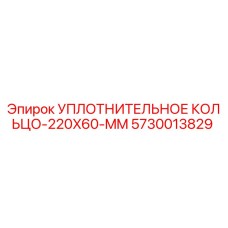 5730013829 УПЛОТНИТЕЛЬНОЕ КОЛЬЦО 220X60 MM | Epiroc