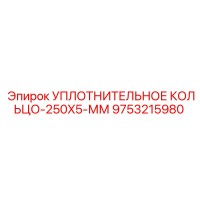 9753215980 УПЛОТНИТЕЛЬНОЕ КОЛЬЦО-250X5-ММ Epiroc