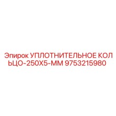 9753215980 УПЛОТНИТЕЛЬНОЕ КОЛЬЦО-250X5-ММ Epiroc