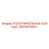 2650970920 УПЛОТНИТЕЛЬНОЕ КОЛЬЦО Epiroc