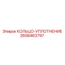 2658463797 КОЛЬЦО-УПЛОТНЕНИЕ Epiroc