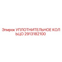 2913182100 УПЛОТНИТЕЛЬНОЕ КОЛЬЦО Epiroc