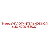 4700163037 УПЛОТНИТЕЛЬНОЕ КОЛЬЦО Epiroc