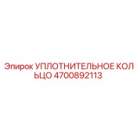 4700892113 УПЛОТНИТЕЛЬНОЕ КОЛЬЦО Epiroc