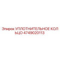 4749020113 УПЛОТНИТЕЛЬНОЕ КОЛЬЦО Epiroc