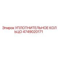 4749020171 УПЛОТНИТЕЛЬНОЕ КОЛЬЦО Epiroc