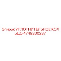 4749300237 УПЛОТНИТЕЛЬНОЕ КОЛЬЦО Epiroc