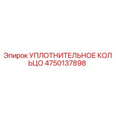 4750137898 УПЛОТНИТЕЛЬНОЕ КОЛЬЦО Эпирок