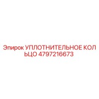 4797216673 УПЛОТНИТЕЛЬНОЕ КОЛЬЦО Epiroc