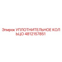 4812157851 УПЛОТНИТЕЛЬНОЕ КОЛЬЦО Epiroc