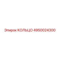 4950024300 КОЛЬЦО Epiroc
