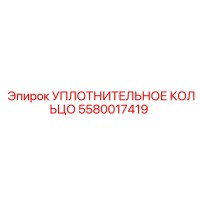 5580017419 Уплотнительное кольцо Epiroc