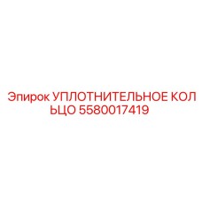 5580017419 Уплотнительное кольцо Epiroc