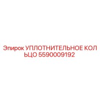 5590009192 УПЛОТНИТЕЛЬНОЕ КОЛЬЦО Epiroc