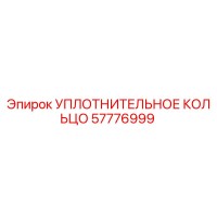 57776999 УПЛОТНИТЕЛЬНОЕ КОЛЬЦО Epiroc