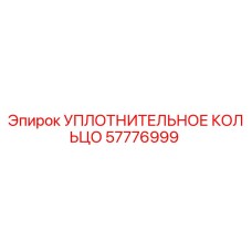 57776999 УПЛОТНИТЕЛЬНОЕ КОЛЬЦО Epiroc