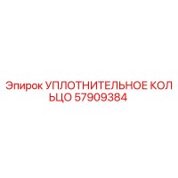 57909384 УПЛОТНИТЕЛЬНОЕ КОЛЬЦО Epiroc