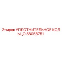 58058751 УПЛОТНИТЕЛЬНОЕ КОЛЬЦО Epiroc