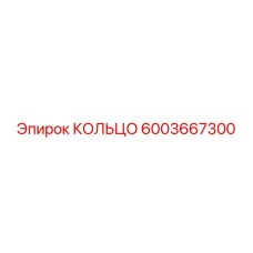 6003667300 КОЛЬЦО Epiroc