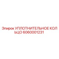 6060001231 УПЛОТНИТЕЛЬНОЕ КОЛЬЦО Epiroc