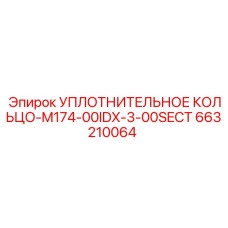 663210064 УПЛОТНИТЕЛЬНОЕ КОЛЬЦО-M174-00IDX-3-00SECT Epiroc