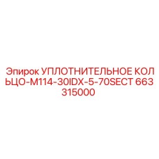663315000 УПЛОТНИТЕЛЬНОЕ КОЛЬЦО-M114-30IDX-5-70SECT Epiroc