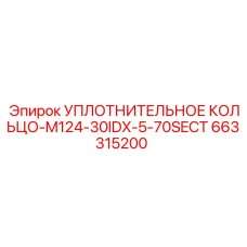 663315200 УПЛОТНИТЕЛЬНОЕ КОЛЬЦО-M124-30IDX-5-70SECT Epiroc
