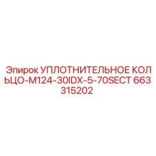 663315202 УПЛОТНИТЕЛЬНОЕ КОЛЬЦО-M124-30IDX-5-70SECT Epiroc
