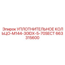 663315600 УПЛОТНИТЕЛЬНОЕ КОЛЬЦО-M144-30IDX-5-70SECT Epiroc