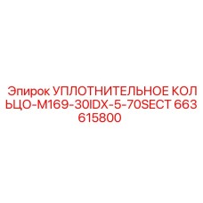 663615800 УПЛОТНИТЕЛЬНОЕ КОЛЬЦО-M169-30IDX-5-70SECT Epiroc