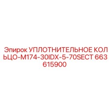 663615900 УПЛОТНИТЕЛЬНОЕ КОЛЬЦО-M174-30IDX-5-70SECT Epiroc