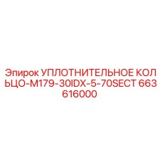 663616000 УПЛОТНИТЕЛЬНОЕ КОЛЬЦО-M179-30IDX-5-70SECT (Epiroc)