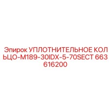 663616200 УПЛОТНИТЕЛЬНОЕ КОЛЬЦО-M189-30IDX-5-70SECT Epiroc
