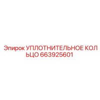 663925601 УПЛОТНИТЕЛЬНОЕ КОЛЬЦО Epiroc