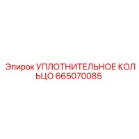 665070085 УПЛОТНИТЕЛЬНОЕ КОЛЬЦО Эпирок