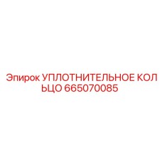 665070085 УПЛОТНИТЕЛЬНОЕ КОЛЬЦО Эпирок