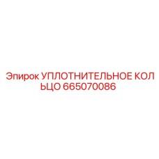665070086 УПЛОТНИТЕЛЬНОЕ КОЛЬЦО Эпирок