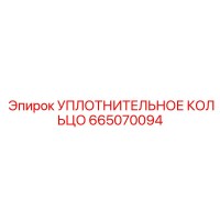 665070094 УПЛОТНИТЕЛЬНОЕ КОЛЬЦО Эпирок