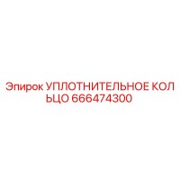 666474300 УПЛОТНИТЕЛЬНОЕ КОЛЬЦО Epiroc