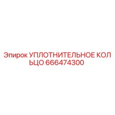 666474300 УПЛОТНИТЕЛЬНОЕ КОЛЬЦО Epiroc