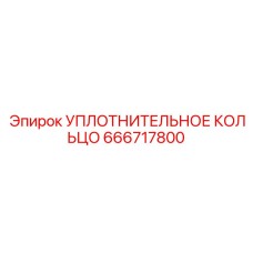 666717800 УПЛОТНИТЕЛЬНОЕ КОЛЬЦО Epiroc