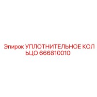 666810010 УПЛОТНИТЕЛЬНОЕ КОЛЬЦО Epiroc